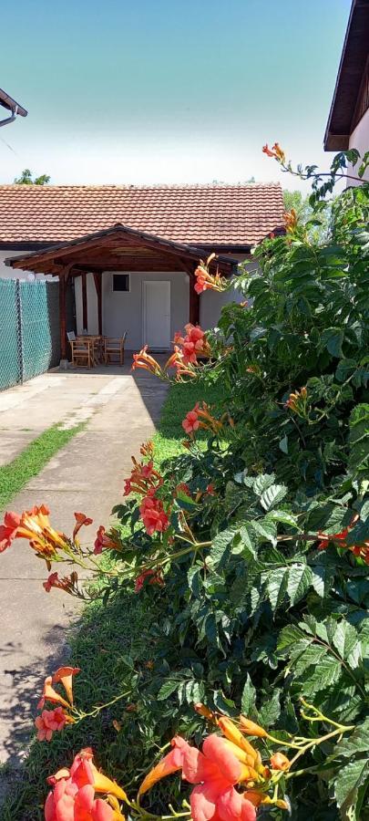 Ferienwohnung Lena! Kladovo Exterior foto